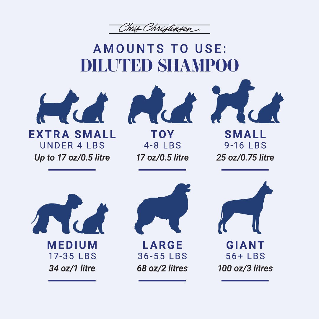 Amounts to use of diluted shampoo