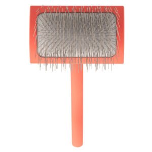 AVICM Medium Big G Slicker