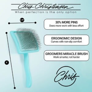 Chris Christensen Big G Teal Slicker Brush Large - Brush Dimensions