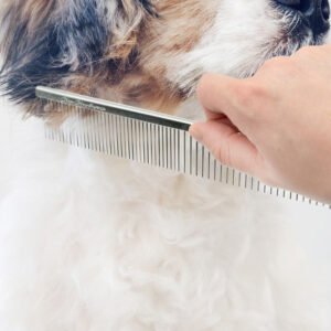 Chris Christensen 000