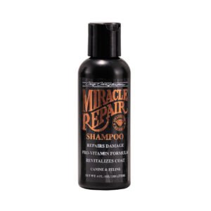 Chris Christensen Try Me Diamond Series Kit - Miracle Repair Shampoo