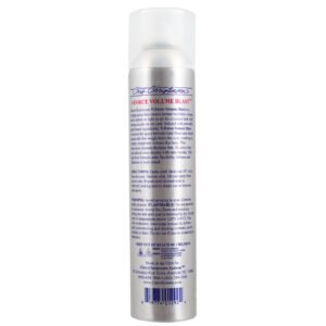 V-Force Volume Blast Finishing Spray Product Information